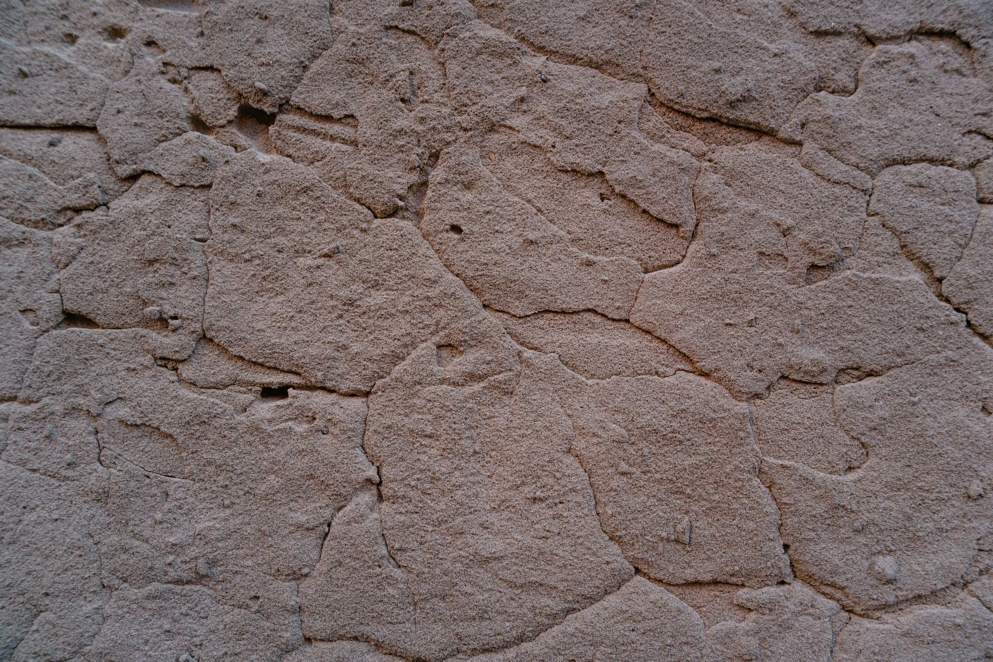 Textura de barro seco agrietado en tonos claros